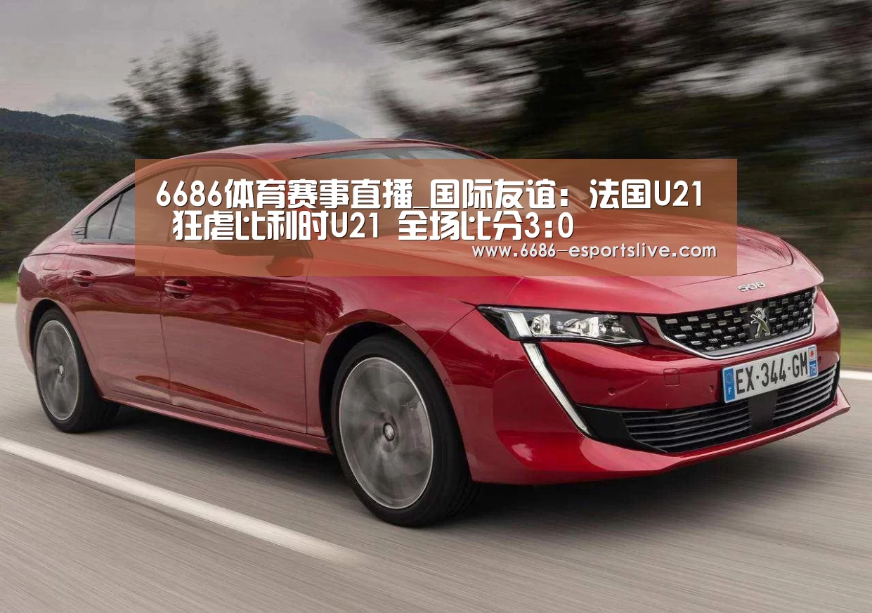 6686登录入口