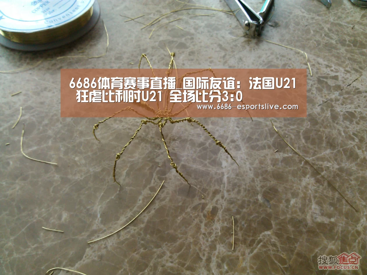 6686体育赛事直播