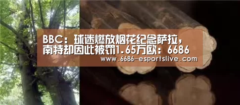 6686电竞竞猜