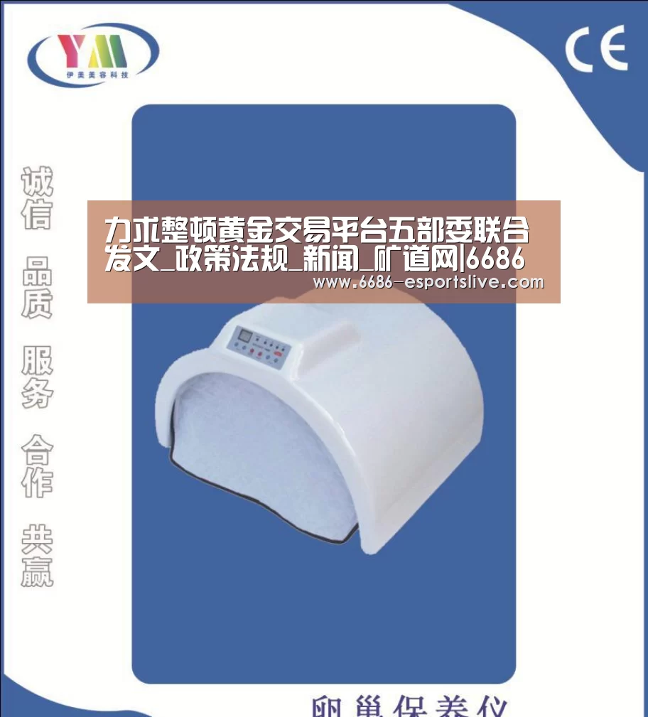 6686登录入口